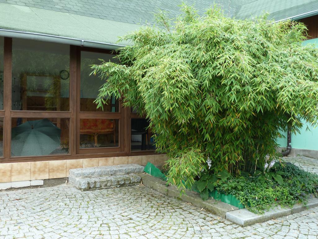 Ubytovani Mlyn Velké Losiny Exterior photo