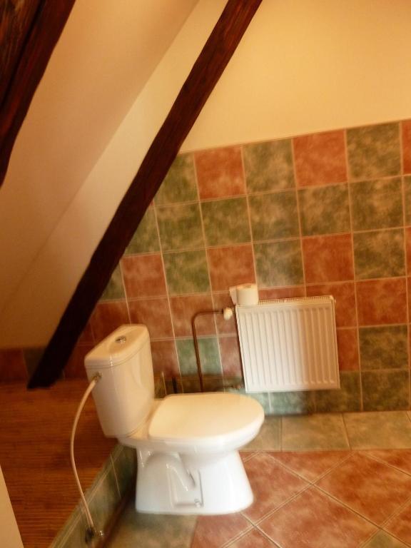 Ubytovani Mlyn Velké Losiny Room photo